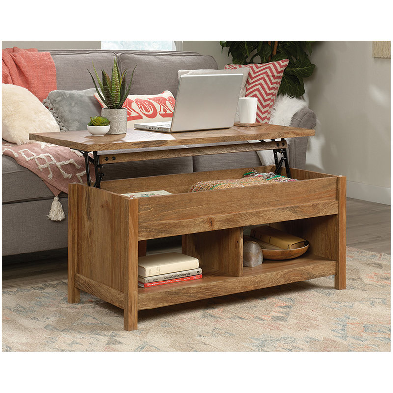 Domen Modern Lift-top Coffee Table, Brown