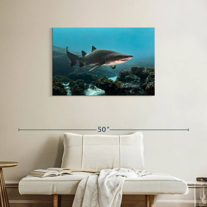 Aliwal Shoal Shark, 24" H x 36" W