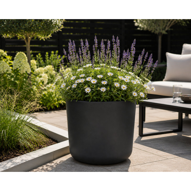 Ashley Round Egg Planter, Concrete Effect, Indoor and Outdoor Round Plant Pot with Drainage Hole, 35cm H x 35cm W x 35cm D