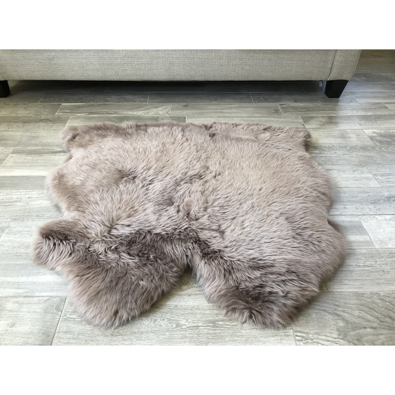 Tapis brun Whiddon, Nouveauté 3 pi x 4 pi