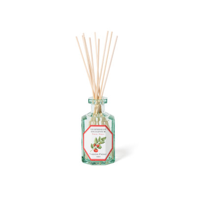 Fruits Diffuser