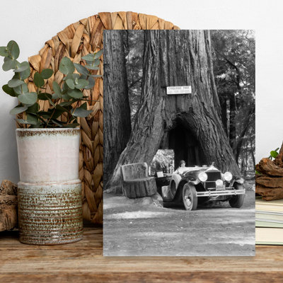 1930S Woman Driving Convertible Car Through Opening In Giant Sequoia Tree Trunk Coolidge Tree Mendocino California Classic Retro Vintage Sequoia Na...