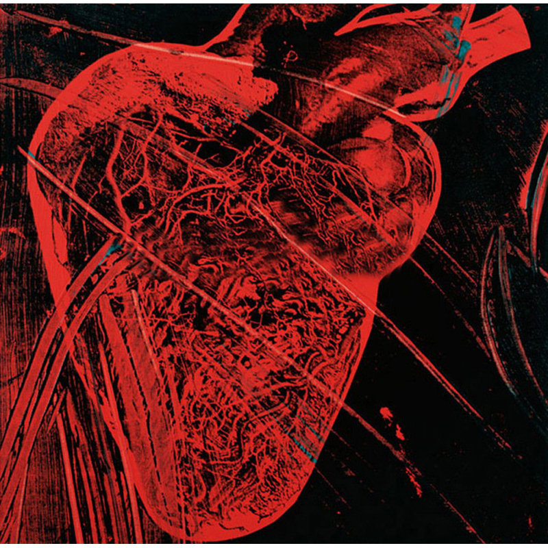 Cœur humain, c. 1980 (rouge avec veines)