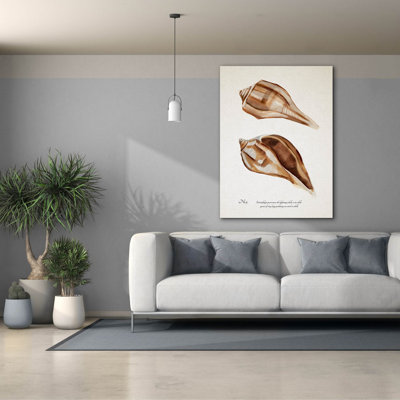  «Sienna Shell Collector 3» par Annie Warren, art mural sur toile, 40 po x 54 po