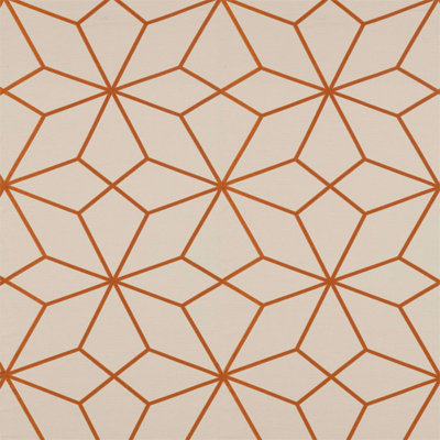 Axal Fabric