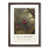 Walnut Framed