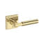 Riddling Full Dummy Lever with Stepped Square Rose in Polished Chrome-1935679836