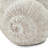 Decorative Sand And Cement Snail Planter With Textured Beige Finish-6790416