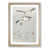 Oak Framed selected