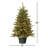 Potted 3' Pre-Lit Pine Christmas Tree