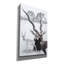 «Black Buck» par Barbara Keith-507651209