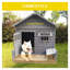 Grand abri pour chien en bois massif 44,2 po x 44,6 po x 44,6 po avec terrasse