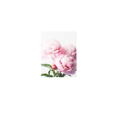 Art mural en toile rose sans cadre 24 po x 36 po