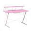 Bureau d'ordinateur de jeu Sport TS-200