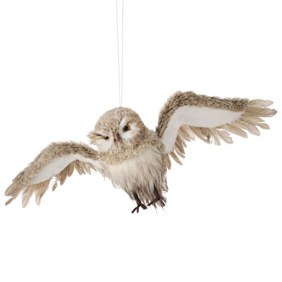 Hibou 28 po