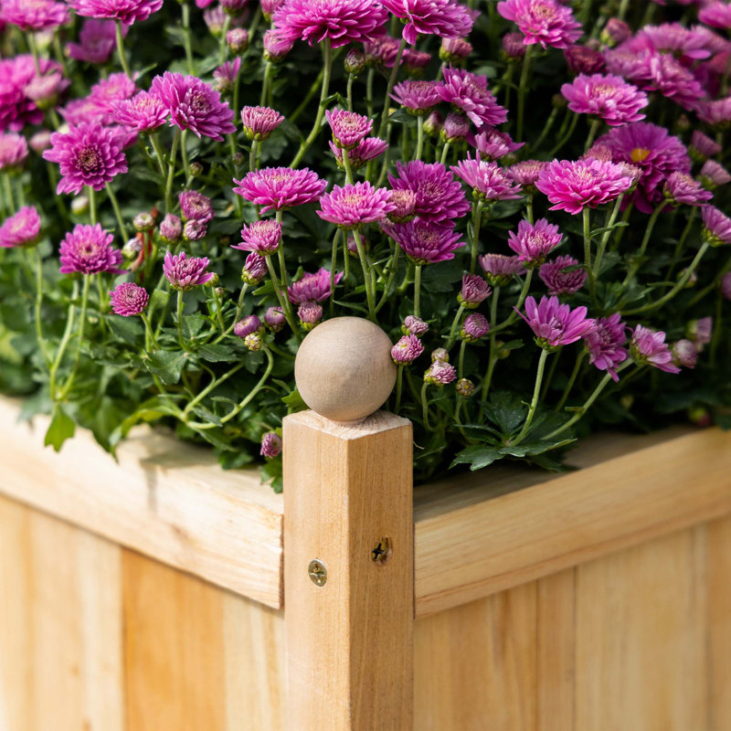 Lit de jardin surélevé en bois avec treillis Outsunny