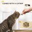 Litter Box Enclosure