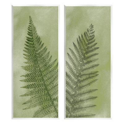 «Woodland Nature Fern Leaves», ensemble de 2 plaques murales par Ziwei Li