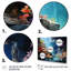 Aquariums Marine Wonders III - Aquariums, art mural-208706667-208706662