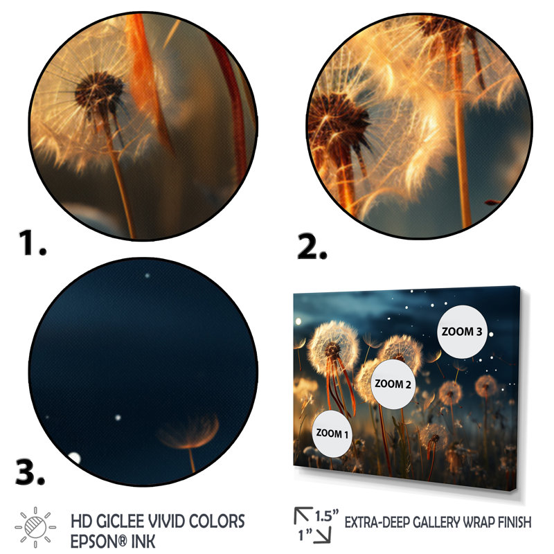 Sunset Dandelion Field IV - Floral Canvas Prints, H 12 po x l 20 po x P 1 po, Cadre flottant noir