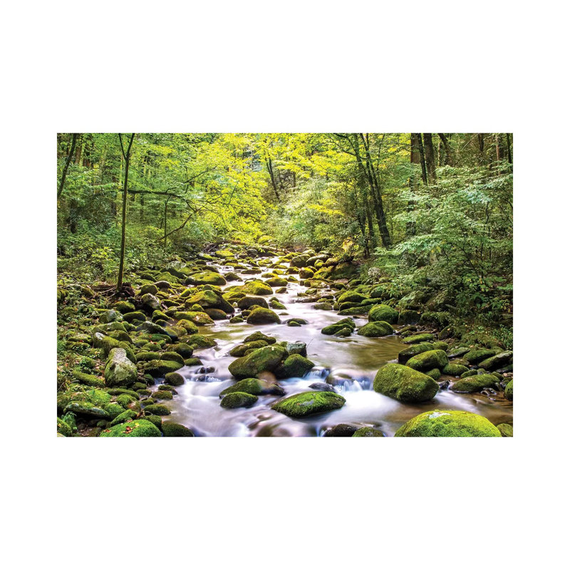 Creek Running Through Roaring Fork In Smoky Mountains by Susan Schmitz - Print on Canvas, Wrapped Canvas
