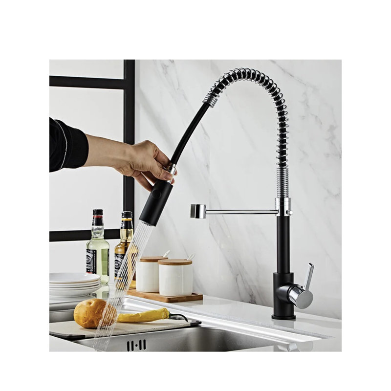 Robinet de cuisine rétractable à poignée simple avec accessoires