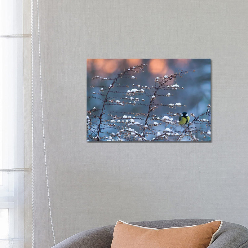 Winter Time by Mateusz Piesiak - Wrapped Canvas Print, 66.04 cm H x 45.72 cm W x 1.91 cm D
