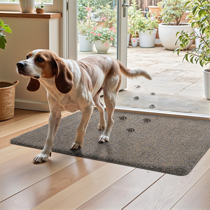 Non-Slip Doormat