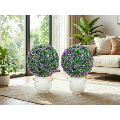 40cm Plant