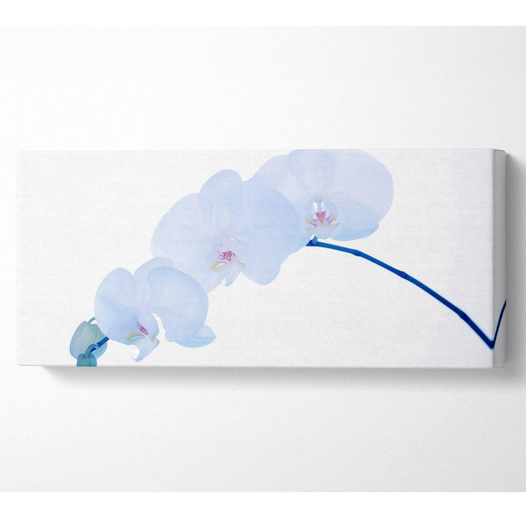 Leinwandbild Baby Blue Stem