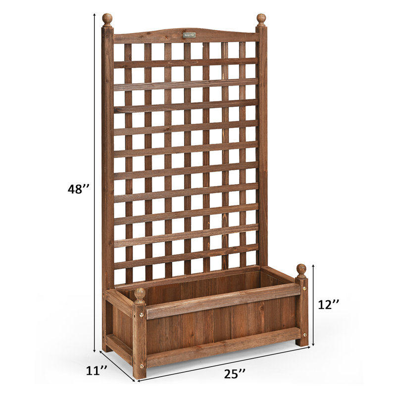 Jardinière surélevée avec treillis Bragg, H 47 po x l 25 po x P 25 po, 1