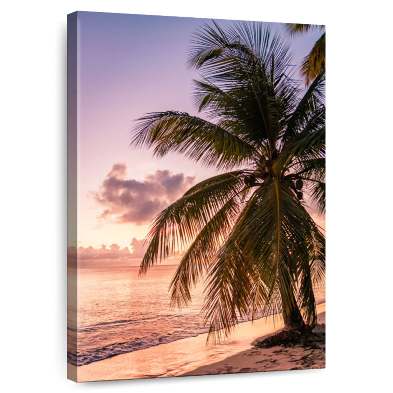 Gillard Pointe Marin, Martinique, H 24 po x l 16 po