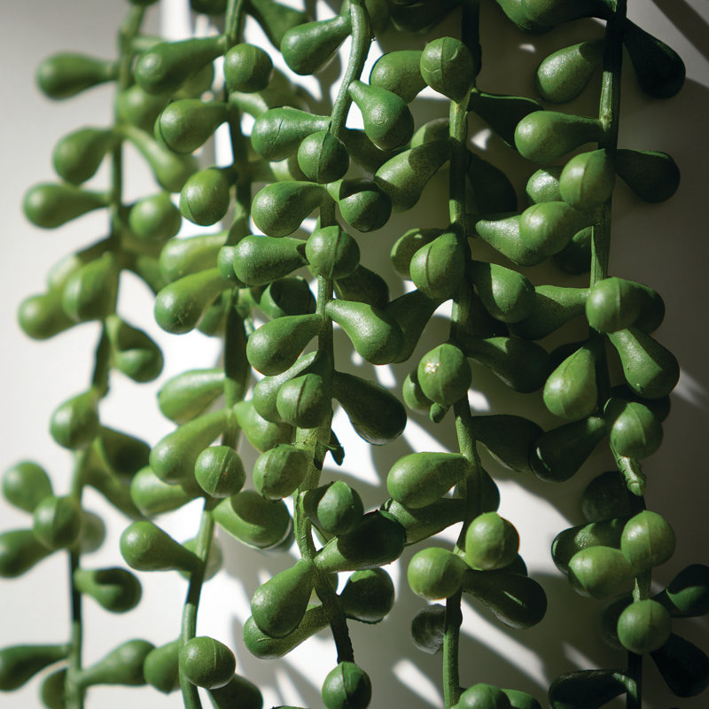 Branche de succulente artificielle 39 "