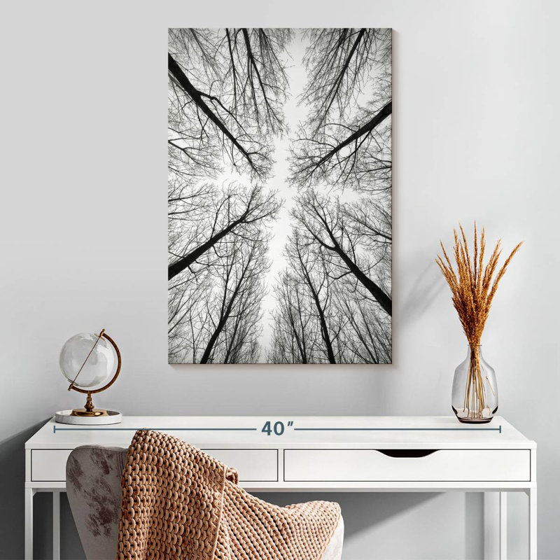 Harnek Monochrome Bare Trees, 30" H x 20" W
