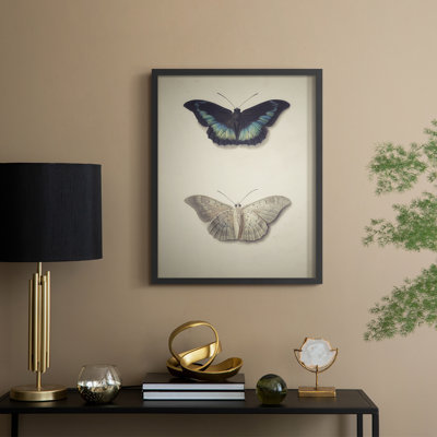 «Vintage Animal Print», reproduction encadrée en bois massif