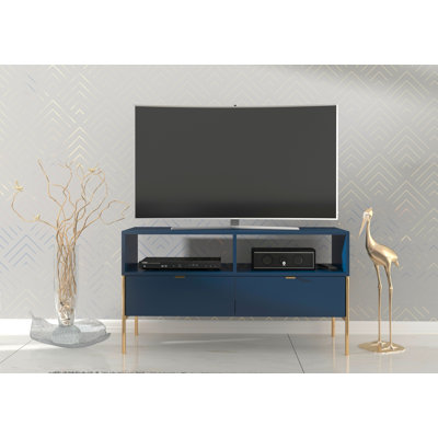 Agosto Unfinished TV Stand for TVs up to 50"