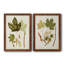 Feuilles antiques, toile encadrée de qualité supérieure, prête à être accrochée-560071800-560071801