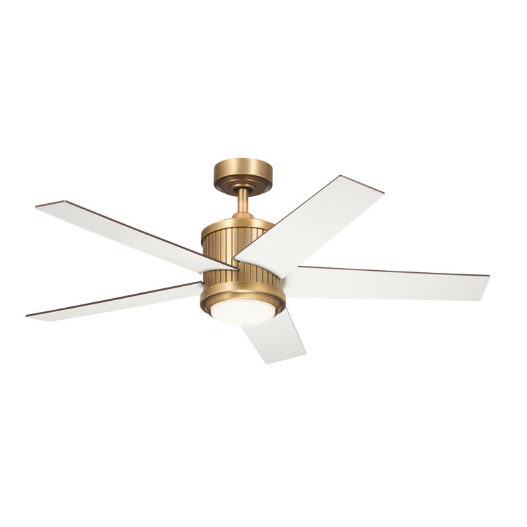 Bhram 48'' Ceiling Fan with LED Lights