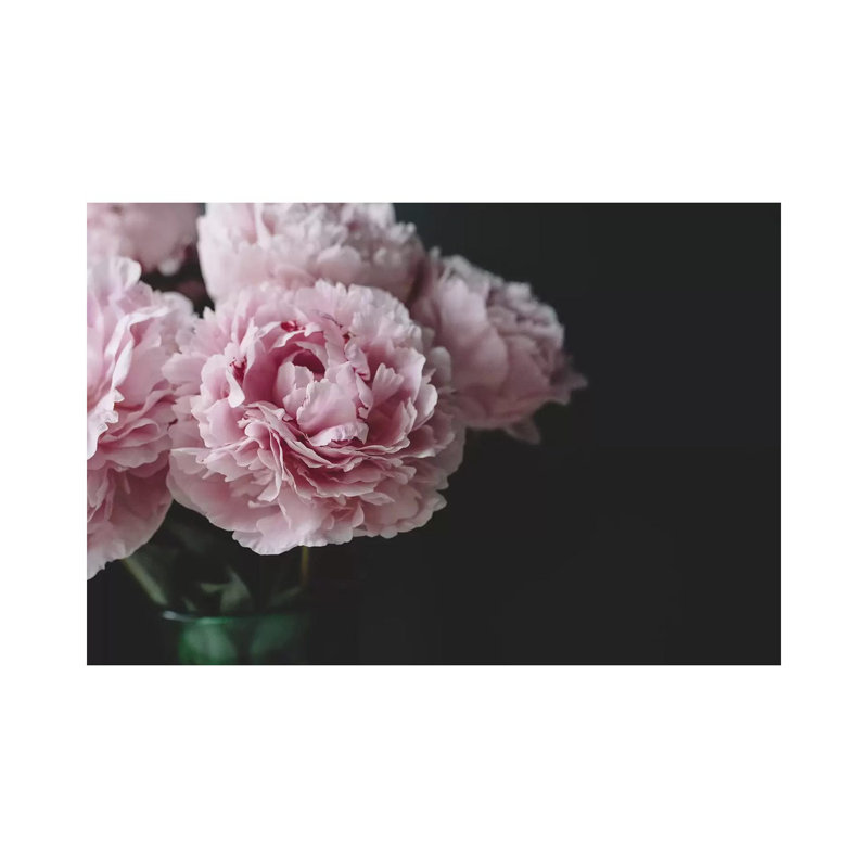 Peonies On Black I by Chelsea Victoria - Wrapped Canvas Print, 20.32cm H x 30.48cm W