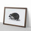 Hedgehog Illustration - Picture Frame Art Print-55641517-55641519