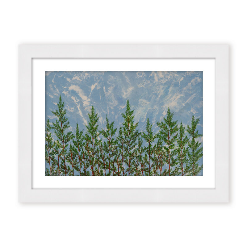 Nature Inspired "Reaching for the Sky" Canvas Wall Art By , 30" H x 40" W, Framed Matted Print, Gold
