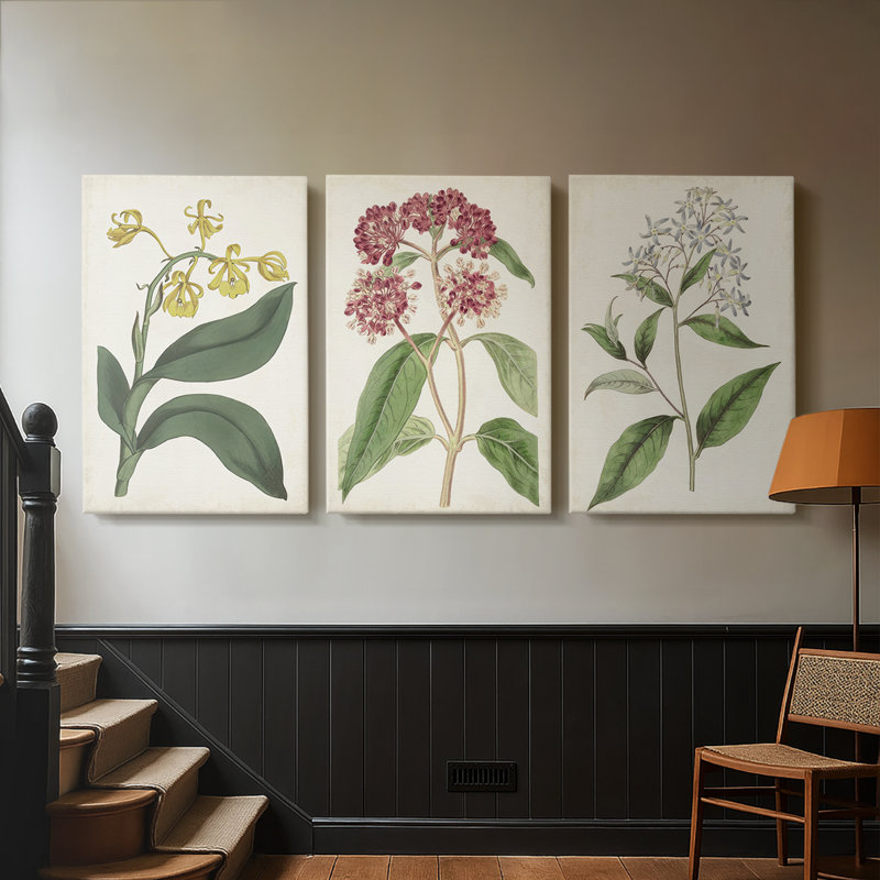 Antique Botanical Collection X - Toile tendue avec châssis sur mesure - 3 pièces, H 60 po x l 120 po