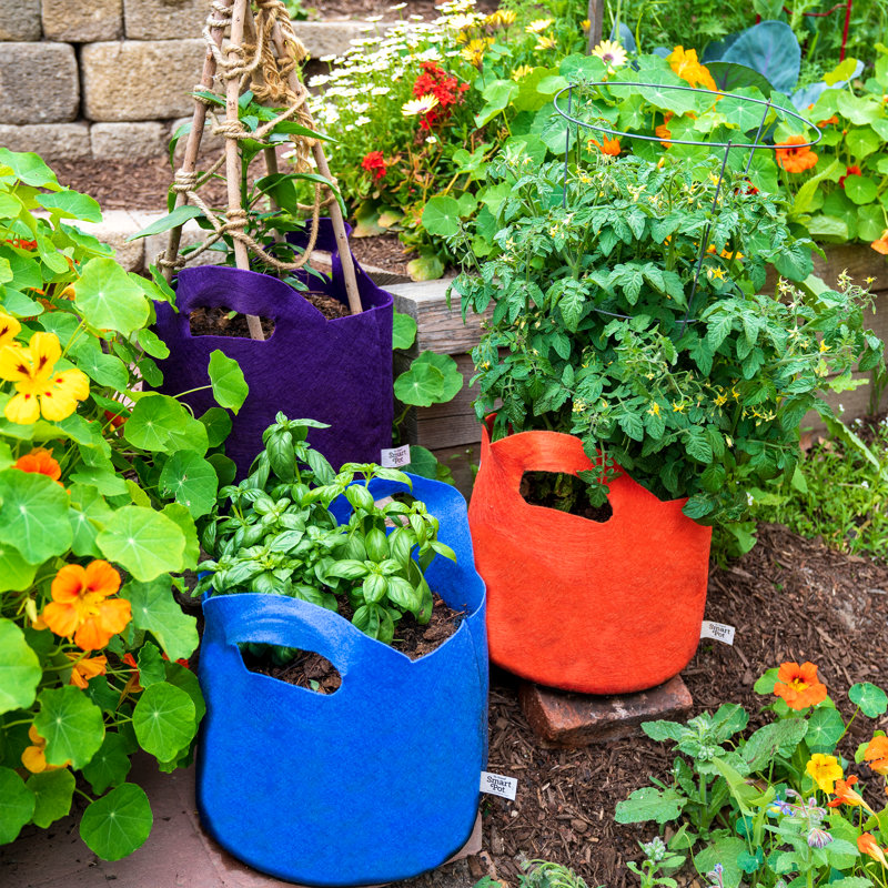 Jardinière en tissu Smart Pot®, 11,5 x 16 x 16, Orange