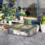 Guntersville Wooden Cold Frame Greenhouse for Plants 100 x 65 x 40cm Grey