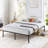 Messancy 14" Steel Platform Bed-1015634309-963881653
