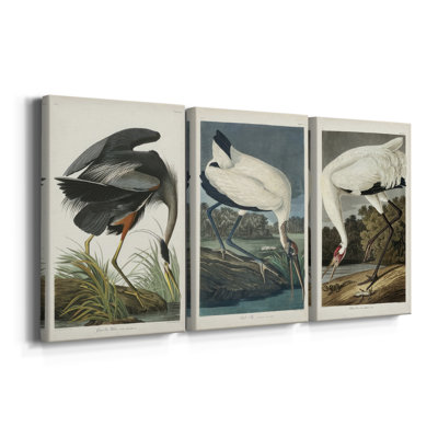 Pl 211 Great Blue Heron  -Custom Wrapped Gallery Canvas - 3 Pieces