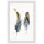 «Fluffy Feathers», reproduction encadrée-1338008910