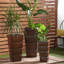 3 - Piece Metal Light Weight Indoor Outdoor Planter with Tapered Base and Fluted Design Set