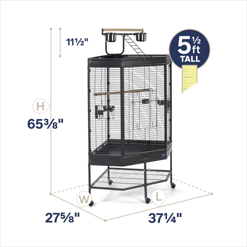 Cage à oiseaux d'angle