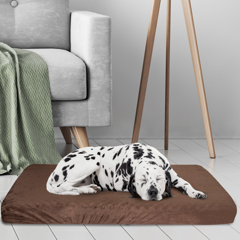 Orthopedic Memory Foam Pet Bed, Large (27" W x 46" D x 4" H), Brown